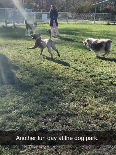 Max Park - Indiana, PA