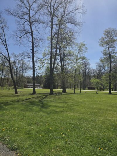 Max Park - Indiana, PA