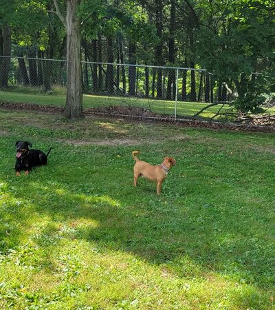 Max Park - Indiana, PA