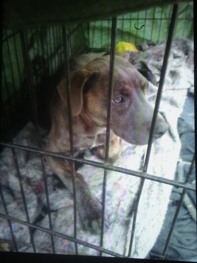 Brightwood Park - Indianapolis, IN