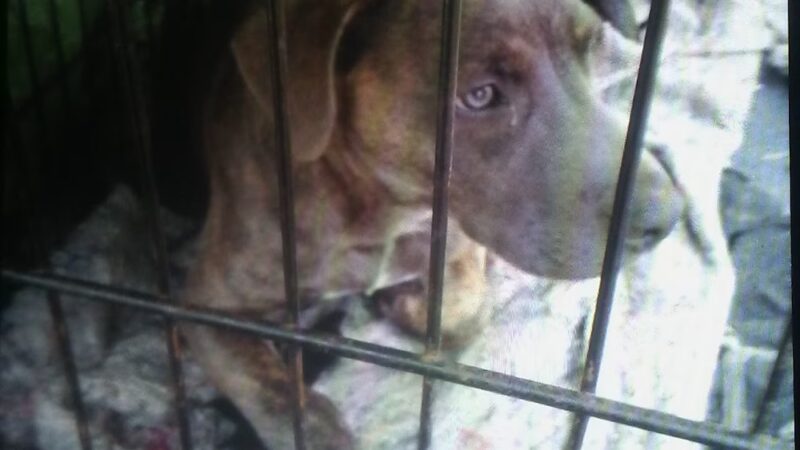 Brightwood Park - Indianapolis, IN