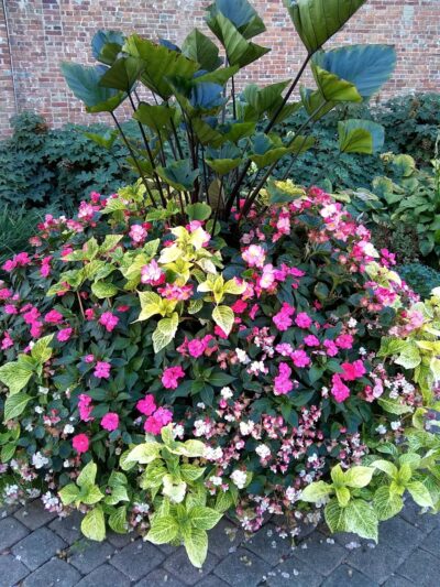 Pathways to Peace Garden - Indianapolis, IN