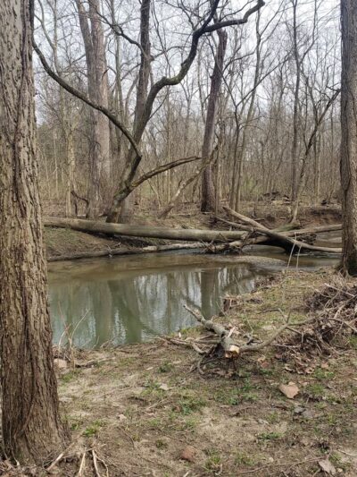 Paul Ruster Park - Indianapolis, IN