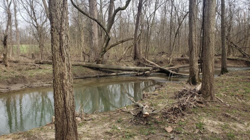 Paul Ruster Park - Indianapolis, IN