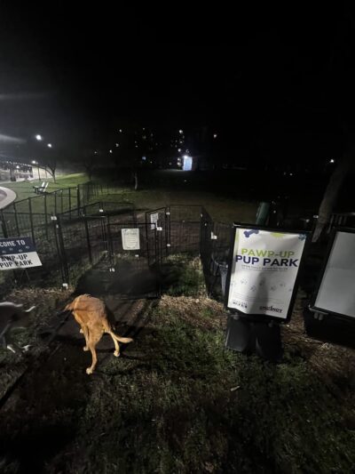 Pawp-Up Pup Park - Indianapolis, IN