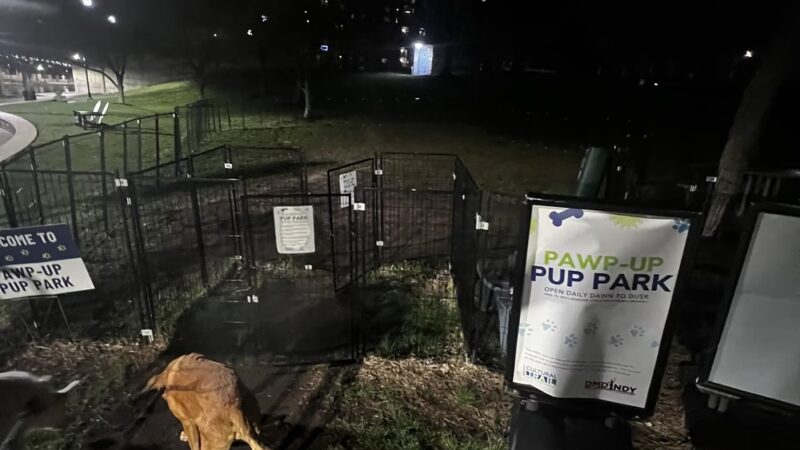 Pawp-Up Pup Park - Indianapolis, IN