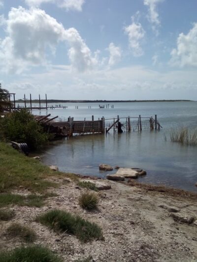 Cove Park - Ingleside, TX