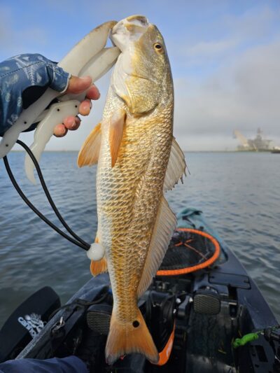 Cove Park - Ingleside, TX