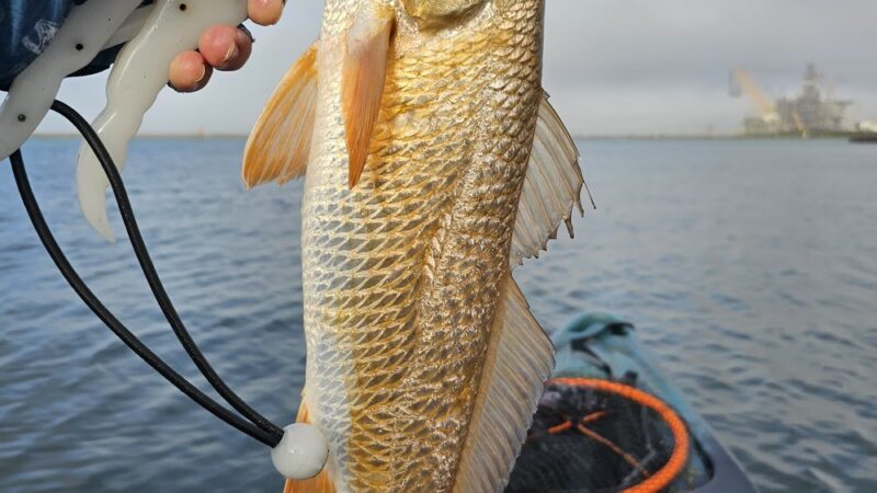 Cove Park - Ingleside, TX