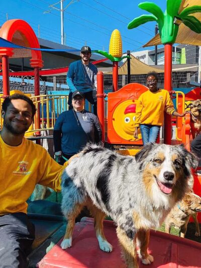 South Park Doggie - Waterland (LAX) - Inglewood, CA