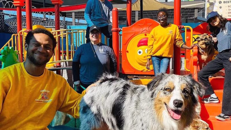 South Park Doggie - Waterland (LAX) - Inglewood, CA