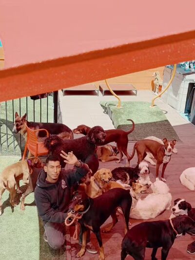 South Park Doggie - Waterland (LAX) - Inglewood, CA