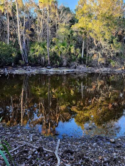 Gulf Hammock Wildlife Management Area - Inglis, FL