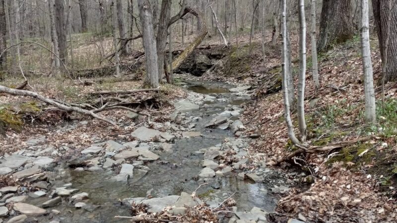 Interloken Trail - Interlaken, NY