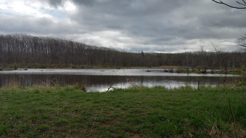 Interloken Trail - Interlaken, NY