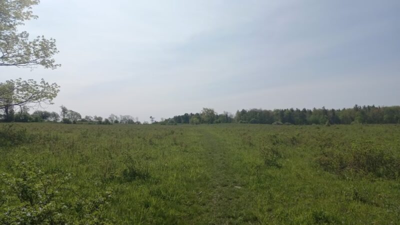 Interloken Trail - Interlaken, NY