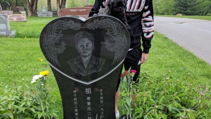 Reno Street Neighborhood Park - Iowa City, IA