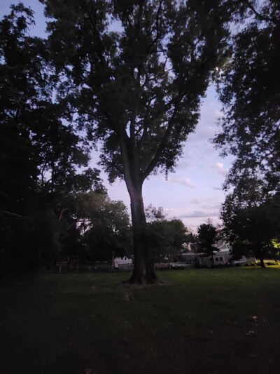 Reno Street Neighborhood Park - Iowa City, IA