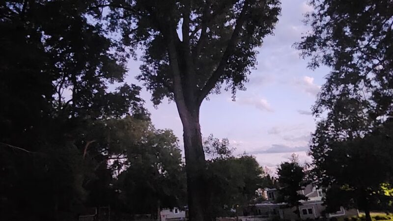 Reno Street Neighborhood Park - Iowa City, IA