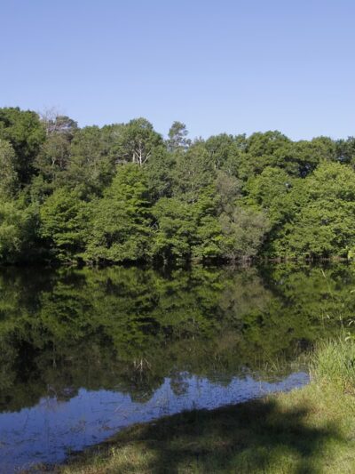Daniel Boone Park - Ipswich, MA