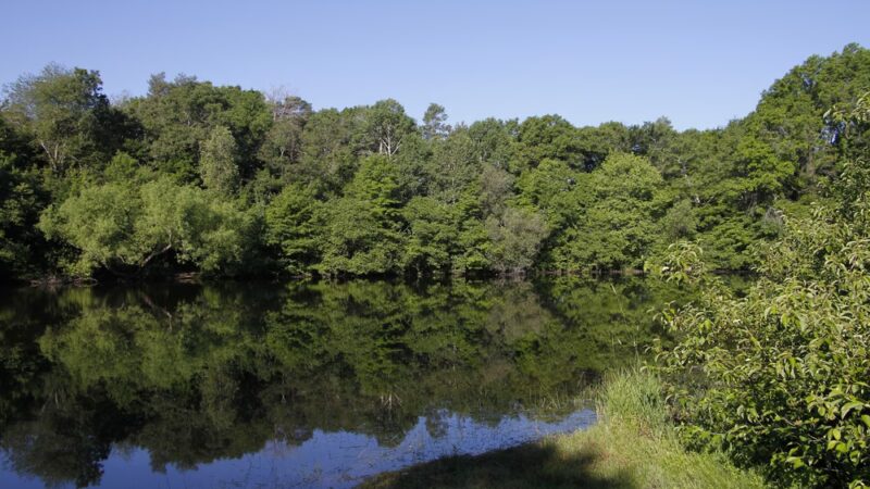 Daniel Boone Park - Ipswich, MA