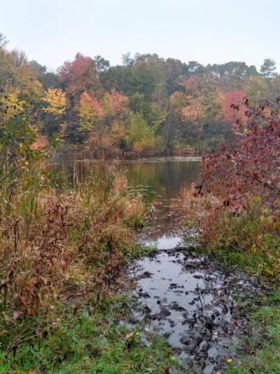 Daniel Boone Park - Ipswich, MA