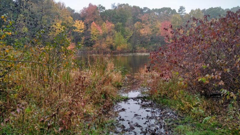 Daniel Boone Park - Ipswich, MA