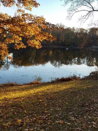 Halsey Pond - Irvington, NY