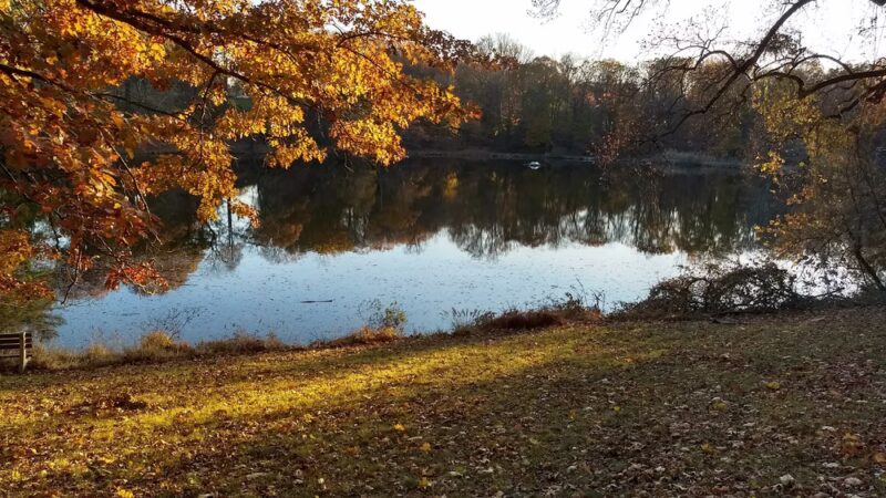 Halsey Pond - Irvington, NY