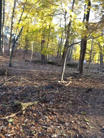 Halsey Pond - Irvington, NY