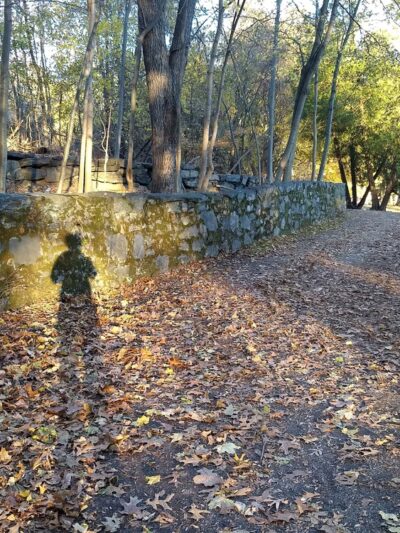 Halsey Pond - Irvington, NY