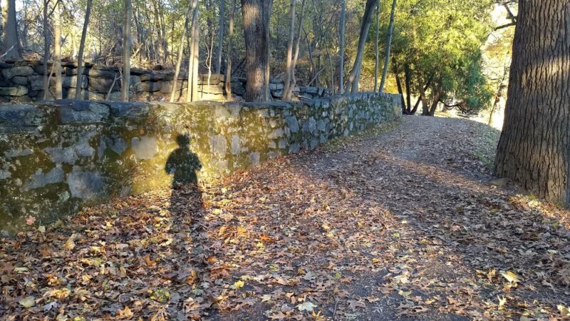 Halsey Pond - Irvington, NY