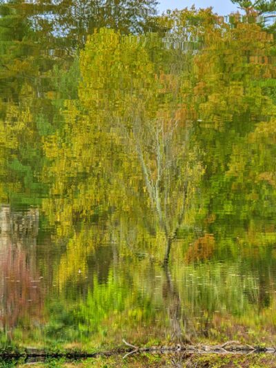 Halsey Pond - Irvington, NY