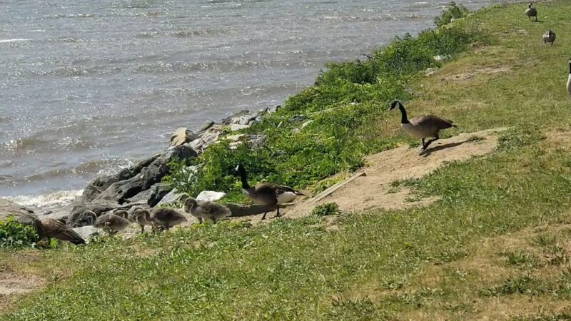 Matthiessen Park - Irvington, NY