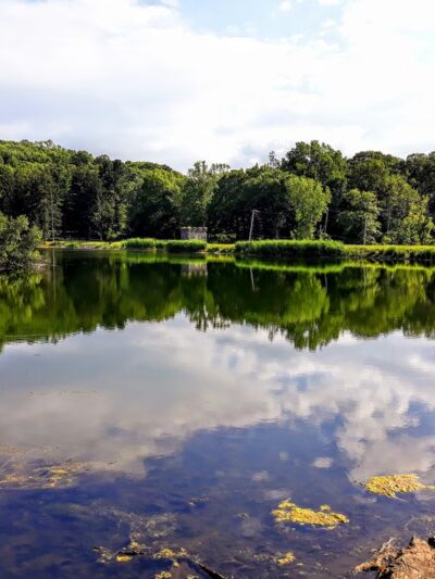 O'Hara Nature Center - Irvington, NY