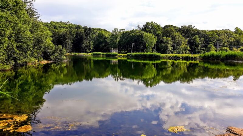 O'Hara Nature Center - Irvington, NY