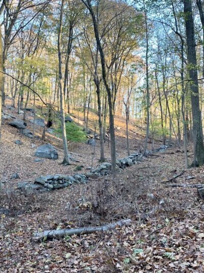 Taxter Ridge - Irvington, NY