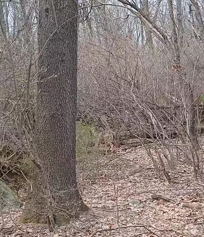 Taxter Ridge - Irvington, NY