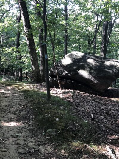 Taxter Ridge - Irvington, NY