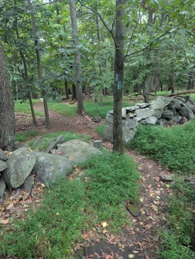 Taxter Ridge - Irvington, NY