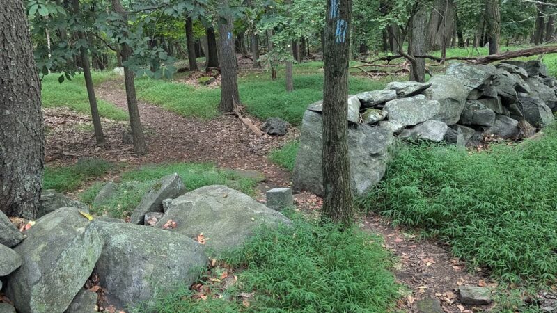 Taxter Ridge - Irvington, NY