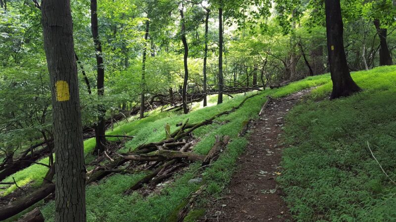 Taxter Ridge - Irvington, NY