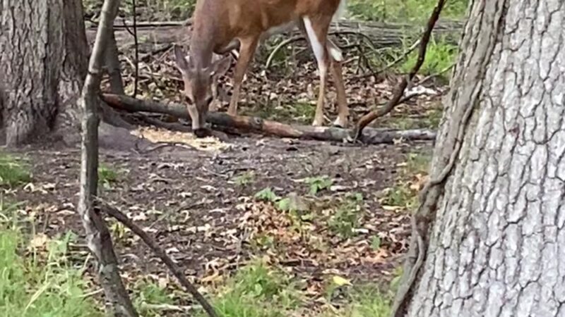 Kennedy Park - Iselin, NJ