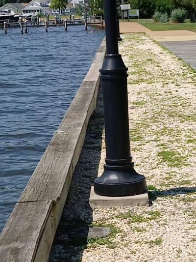Island Heights Boardwalk - Island Heights, NJ
