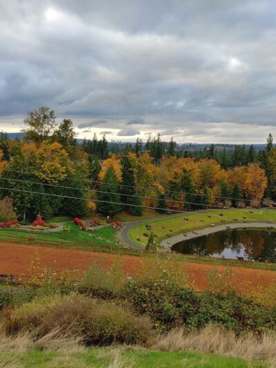 Issaquah Highlands Bark Park - Issaquah, WA