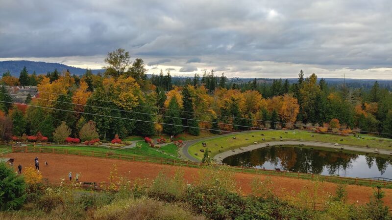 Issaquah Highlands Bark Park - Issaquah, WA
