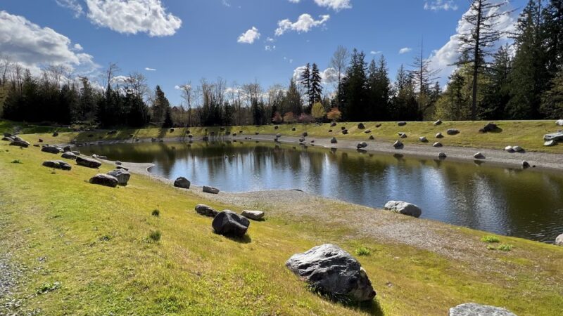 Issaquah Highlands Bark Park - Issaquah, WA