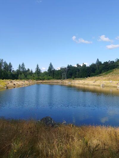 Issaquah Highlands Bark Park - Issaquah, WA