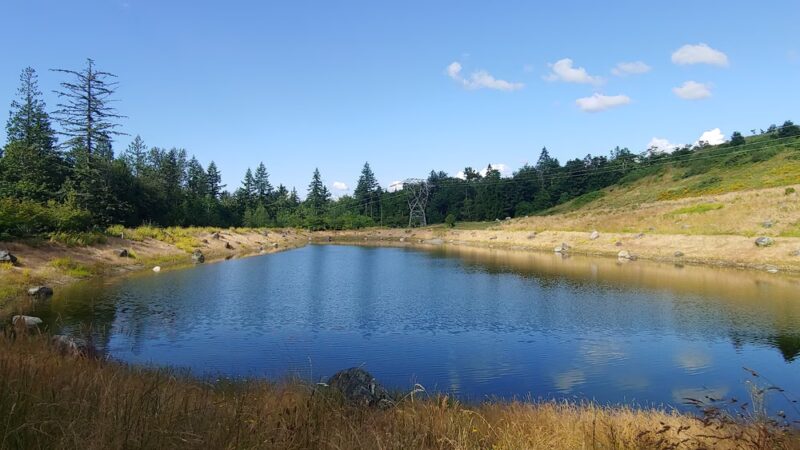 Issaquah Highlands Bark Park - Issaquah, WA