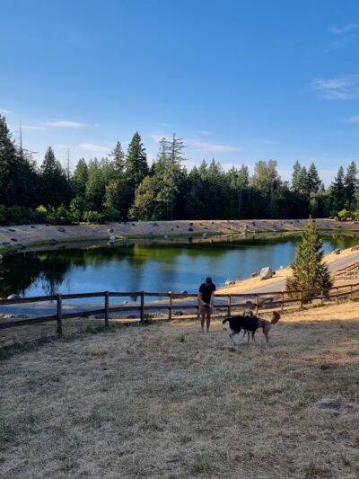 Dog Park - Issaquah, WA